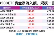 规模TOP6的A500ETF本月资金净流入额超972亿元