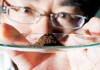 稀土为什么叫稀土？稀土的应用领域有哪些？