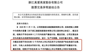 从毛毯厂到AI概念股：探迹科技入主真爱美家，引爆区间59.80%涨幅与六连板狂潮