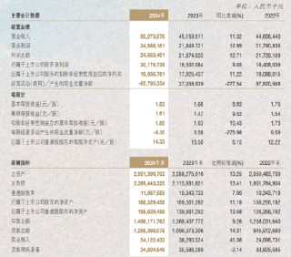 南京银行：2024年实现归母净利润201.77亿元 同比增长9.05%