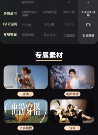 电脑端通用：剪映 SVIP 超级会员 20.8 元 / 月 4 折低过闲鱼