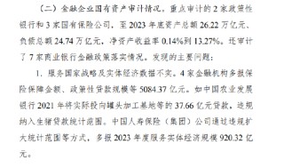 审计署：国寿集团通过违规扩大统计范围等方式，多报 2023 年度服务实体经济规模920.32亿元