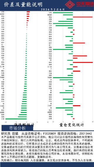 中天策略:2月6日市场分析