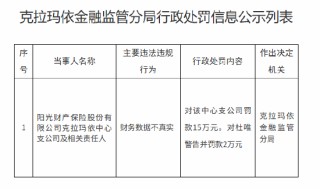 阳光产险克拉玛依中心支公司被罚15万元：财务数据不真实