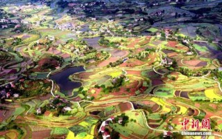 期货补贴水是什么含义？拍卖粮升贴水是什么意思？