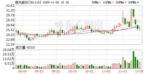 恒光股份：补选董事