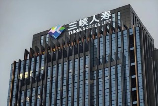 三峡人寿20%股权将拍卖，起拍价2.02亿元，目前0人报名