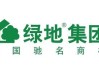 如何考量绿地运河小镇这类区域？考量时需关注哪些方面？