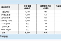 林清轩启动全球发售：2025年上半年收入盈利双增 滚动市盈率高达42倍 高端定位遭拷问
