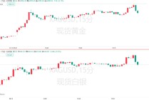 金银双双刷爆历史纪录！“货币贬值交易”已彻底疯狂？