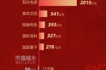 A股2025市值增长九强省盘点：安徽省三成市值增长依赖阳光电源 表现欠佳的五家企业中三家主营白酒