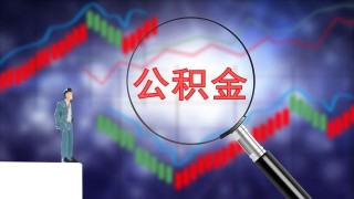 基金净值高低影响买入决策吗？