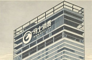 撤回IPO辅导的马上消费金融，董事长赵国庆仍是上市公司高管