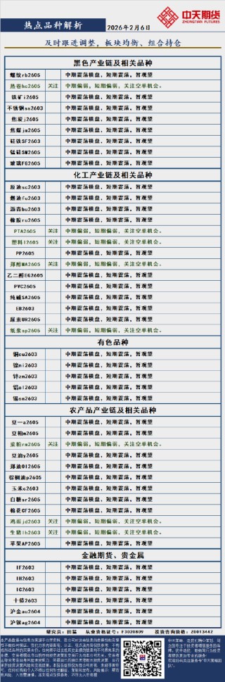中天策略:2月6日市场分析