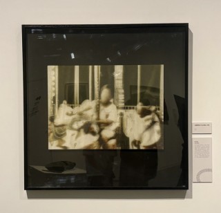 朋友圈正成为“艺术第一现场”，上海青年美展公众投票人次破18万的背后……