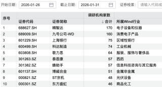 170家机构，盯上1家公司