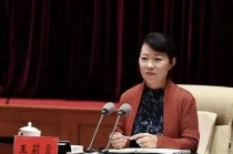 纪实：谁是王莉霞的“贵人”…