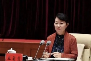 纪实：谁是王莉霞的“贵人”…