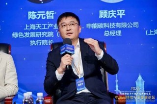 顾庆平：碳市场健康发展需要寻找活跃度与价格平衡