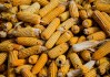 如何掌握螺纹钢期货价格变动要点？复张用力与价格有何关系？