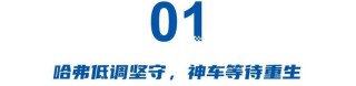 哈弗低调坚守、魏牌高调翻身，长城两大老品牌命运分化
