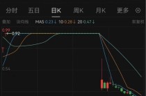 财务造假，退市！300391明日将摘牌