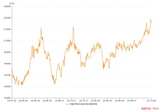 财说丨营收利润双增难掩隐忧，天山铝业高估值下的周期困惑