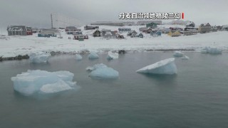 特朗普政府正在讨论获取格陵兰岛的方案 包括军事选项