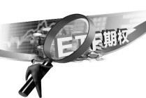 如何分析看涨期权期权费的承担与影响？这种承担和影响如何反映市场预期？