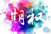 期权卖方的损失对冲