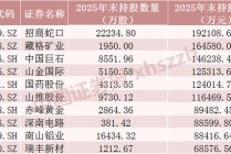 长线资金“扫货”，重仓股曝光