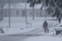 冬季风暴已导致美国逾100万用户断电