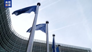 欧洲多国及欧盟领导人发表联合声明：承诺为乌提供安全保障