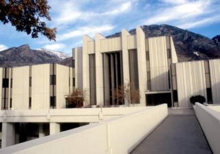 如何挑选适合的商品期货品种？这些品种的市场波动有何规律？