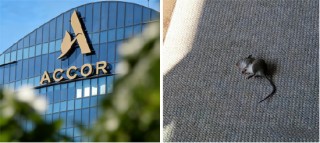 “花9800元住酒店，仨老鼠陪睡一晚！”莱佛士酒店闹鼠患？酒店称已消杀，《消失的她》曾取景