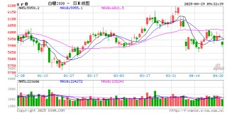 光大期货：4月29日软商品日报