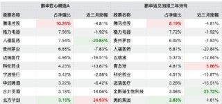 薪酬新规透视 | 鹏华陈璇淼5只产品跑输三年基准，4只跑输超20%，持仓高度重合格力电器、贵州茅台等个股