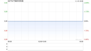 中国织材控股：股份合并将于11月11日生效
