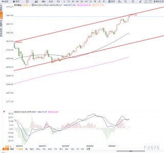 黄金继续新高，避险情绪推动多头向上加速