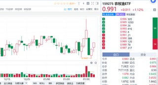 中央一号文件来啦，可以挖掘哪些“宝藏”ETF？