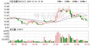 川发龙蟒：公司未来的资本开支将继续紧密围绕“稀缺资源+核心技术+产业整合+先进机制”发展战略开展