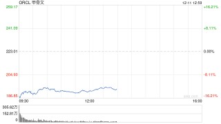 甲骨文市值蒸发1020亿美元 信用风险升至2009年以来最高水平