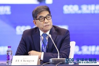 中国石化原董事长傅成玉：特朗普会进一步撕裂美国，但是更严重的是他将撕裂整个世界