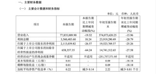 天元智能董事长吴逸中两天前仍主持董事会，突被留置立案，1月19日股价大跌10%市值蒸发超4亿元