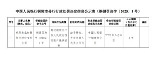 枞阳泰业村镇银行被罚2万元：超过期限向中国人民银行报送账户撤销资料
