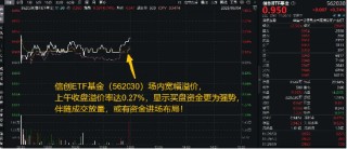 软件大革命的起点？别小看DeepSeek-R1模型更新，信创ETF基金（562030）宽幅溢价，买盘资金强势！