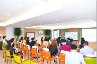 保险理赔被拒的常见原因是什么？