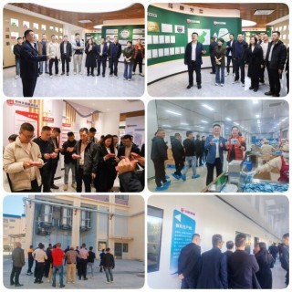 双蚁药业召开双蚁祛湿通络胶囊全国市场动员大会 共谋合作新篇章