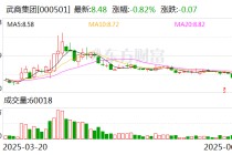 武商集团：公司按照规定履行信息披露义务