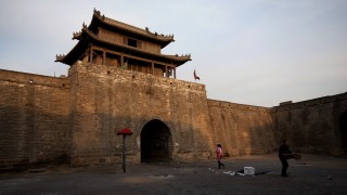 辽宁香菜的市场价格是多少？价格波动受哪些因素影响？